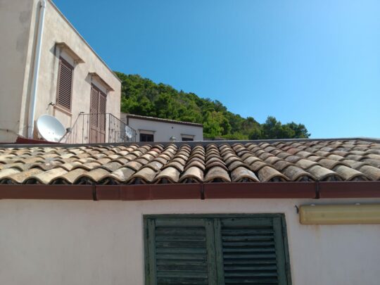 Immagine WhatsApp 2024-02-05 ore 13.35.55_d1d3ad0c